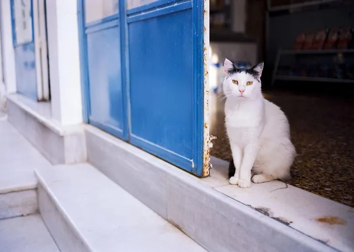 Superb Naxos Grand In The Heart Of Town Balcony Apartamento *